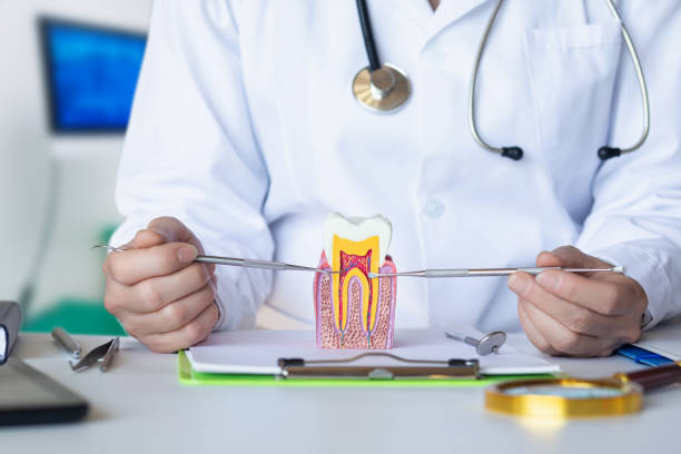 Best Emergency Root Canal Treatment in Mabscott, WV